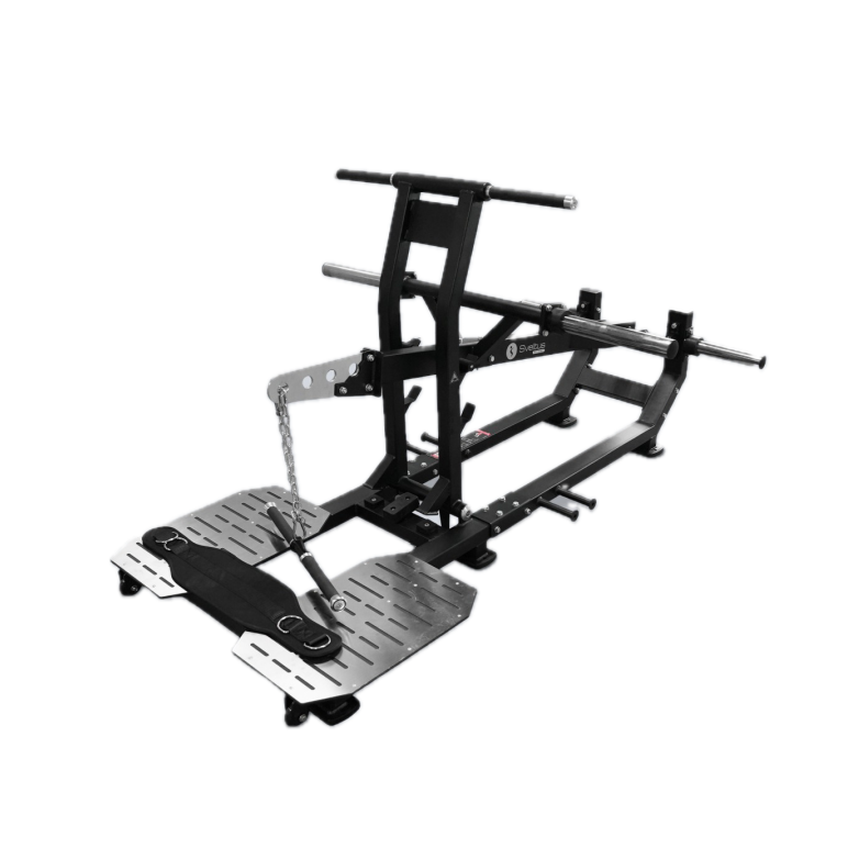 Belt squat professionnel