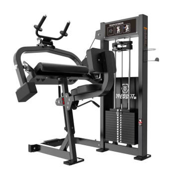 Machine d’extension des triceps à charge guidée