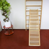 Espalier mural home gym