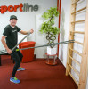 Espalier homegym