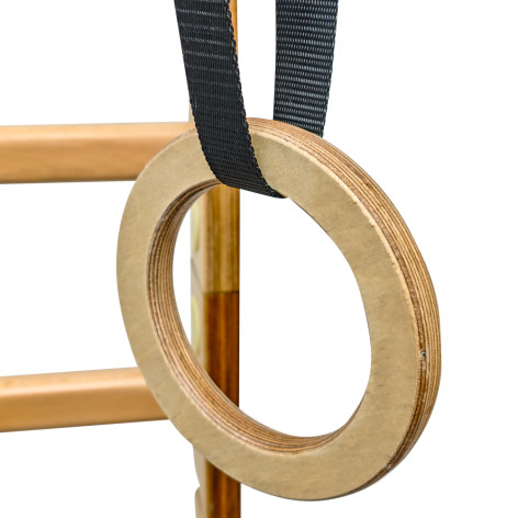 Anneaux de suspension pour espaliers