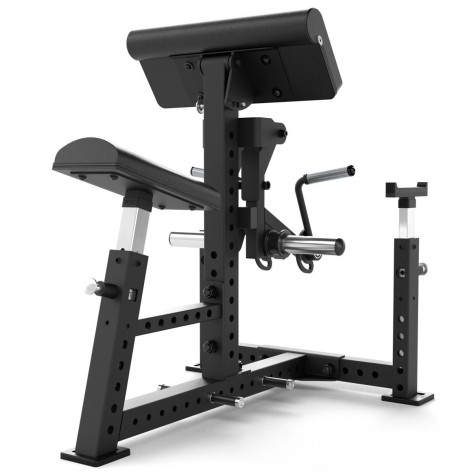Machine Professionnelle Pour Développer Les Biceps