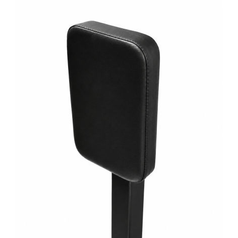 Plate loaded abductor machine pro