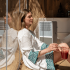 Climatiseur professionnel