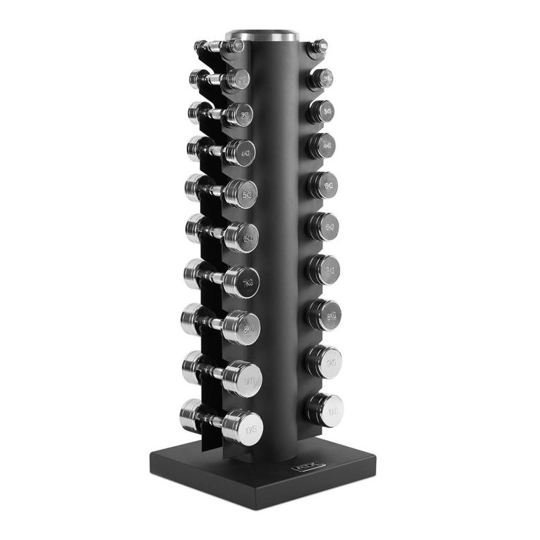 Ensemble d’haltères de musculation avec support.