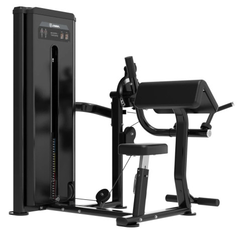 Machine biceps triceps pour entraînement professionnel des bras