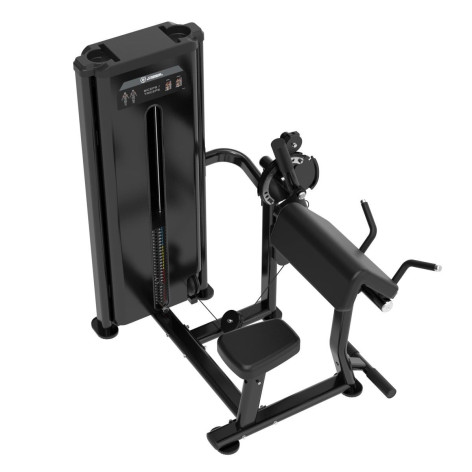 Biceps dual triceps machine