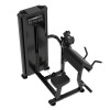 Biceps dual triceps machine