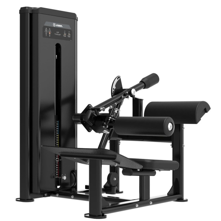 Machine Hip Thrust professionnelle