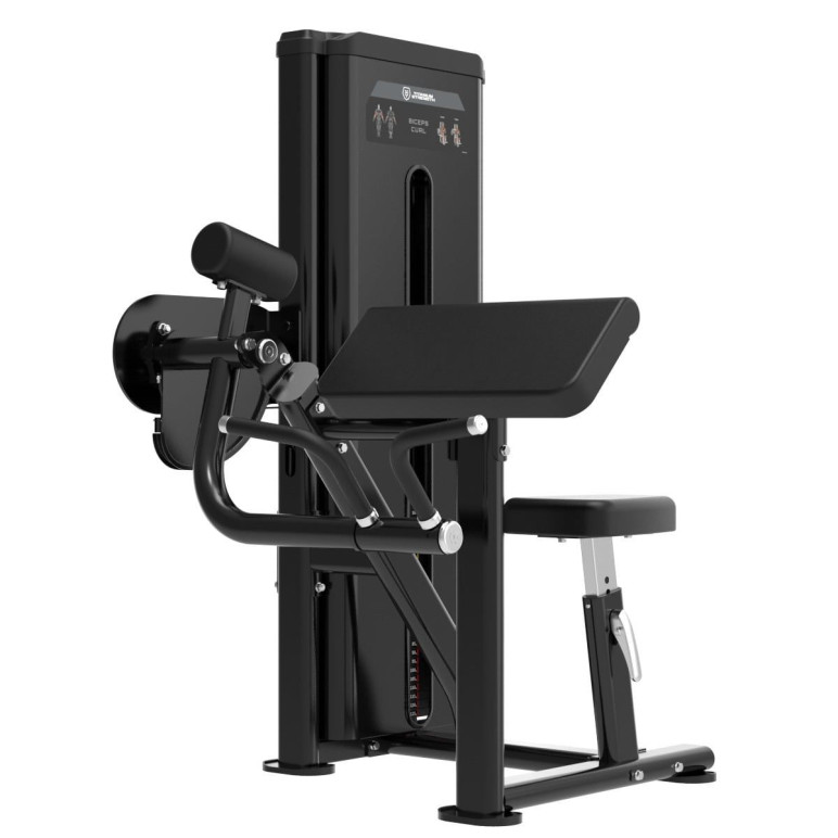 Curl Biceps professionnel pour développer les muscles des bras