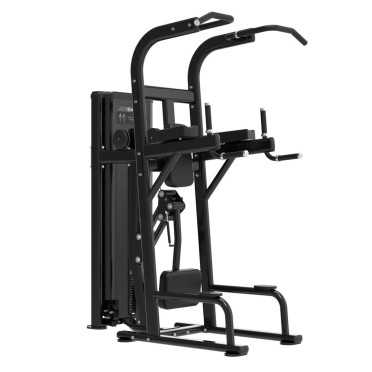 Machine pour les tractions et dips assistés