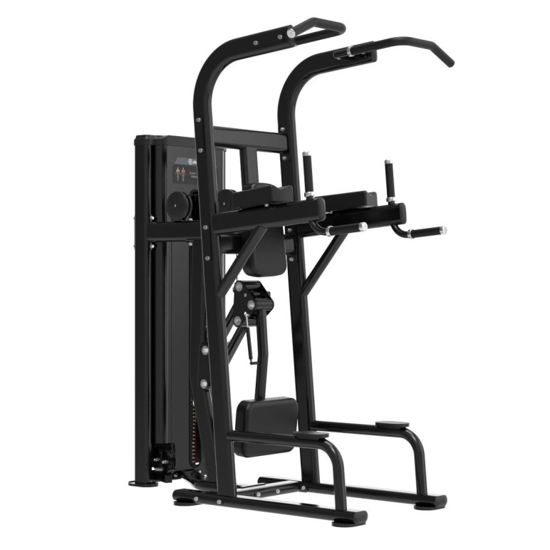 Machine pour les tractions et dips assistés