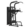 Machine pour les tractions et dips assistés