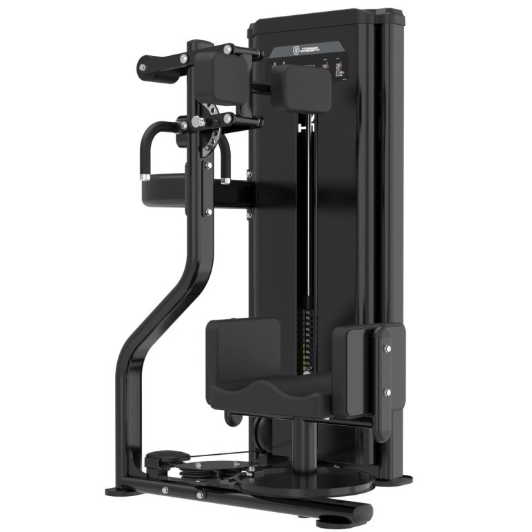 Rotary Torso professionnel