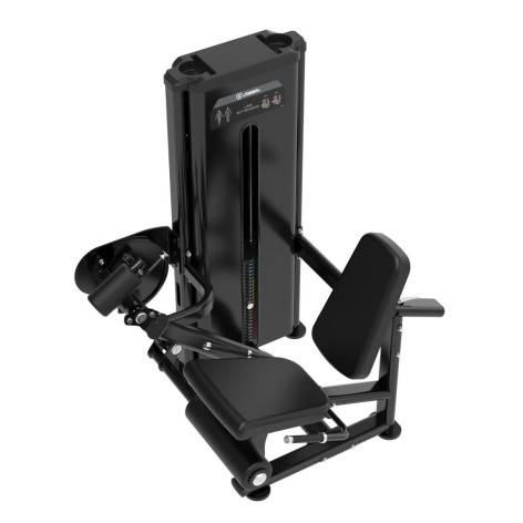 Station professionnelle pour le leg extension