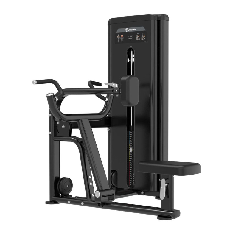 Low Row Machine professionnelle
