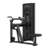 Low Row Machine professionnelle