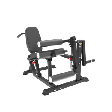 Station leg curl dual leg extension Powergym