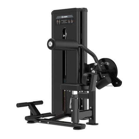 Machine abdominaux et lombaires charge 125kg