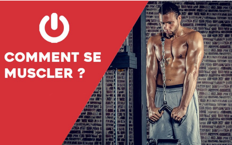Comment se muscler ?