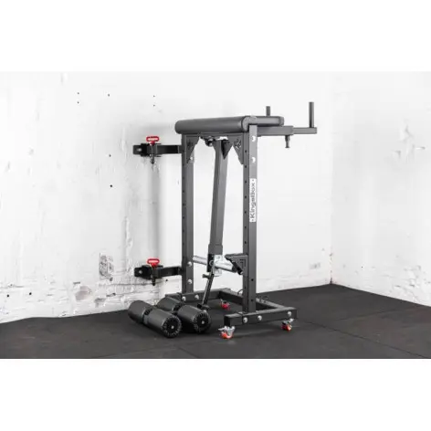 Appareil reverse hyper curl professionnel