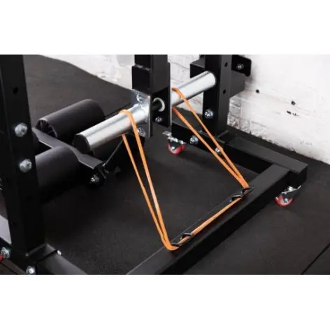 Reverse hyper curl mural - vue 8