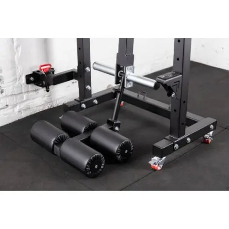 Reverse hyper curl mural - vue 9