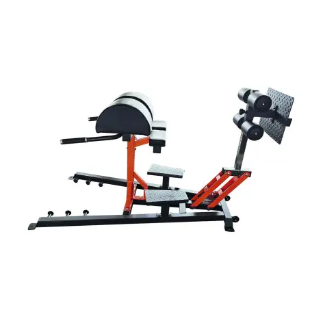 Appareil de musculation GHD