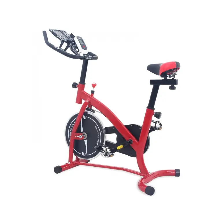 Vélo de spinning avec roue d'inertie