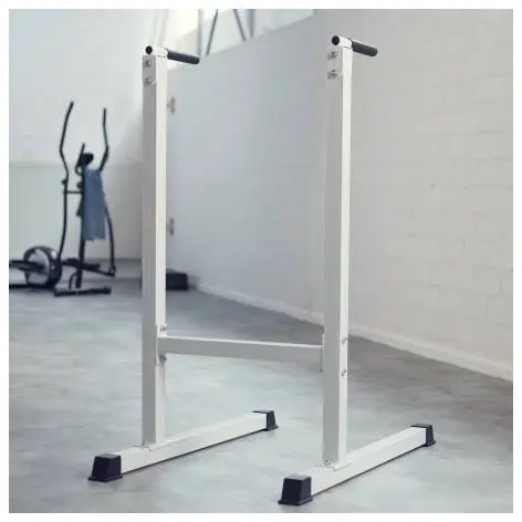 Station de dips pour home gym charge maximale 120 kg - vue 2