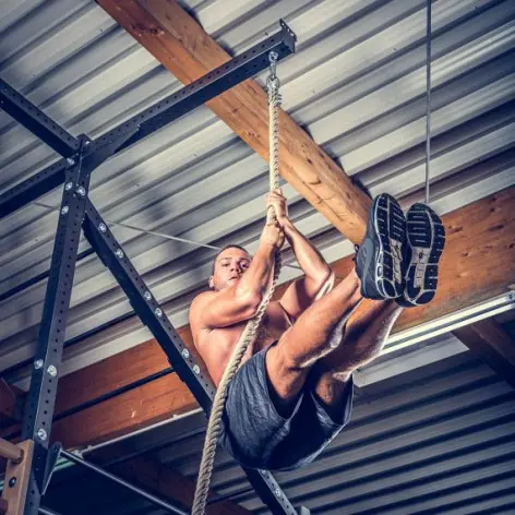 Idéal pour le développement des muscles de votre corps