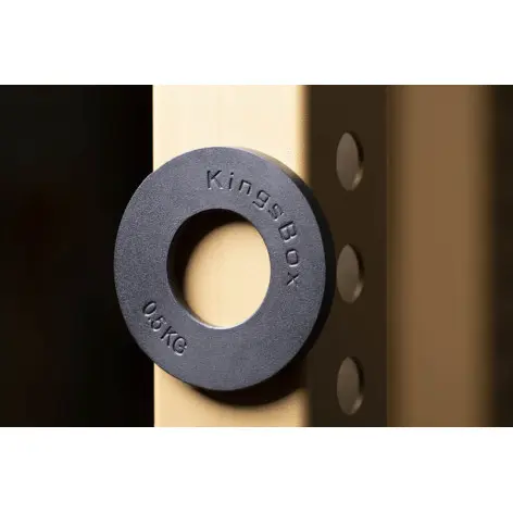 Disques de poids magnétique pour entraînement de musculation - vue 2