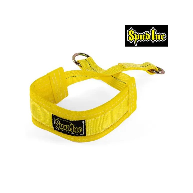 Ceinture de Belt Squat professionnelle