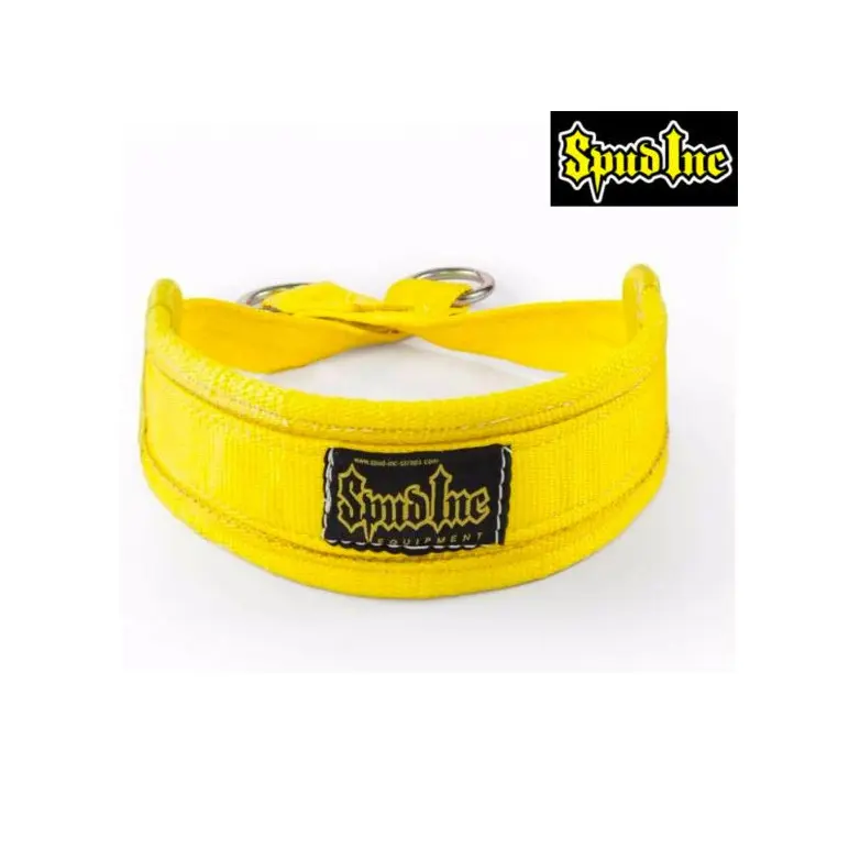 Ceinture lestée professionnelle