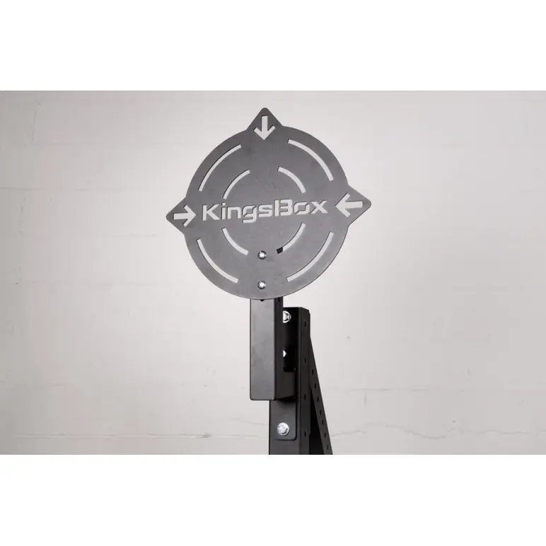 Cible pour wall ball et medecine ball