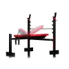 Banc de musculation homegym réglable 12 positions charge de 500 kg