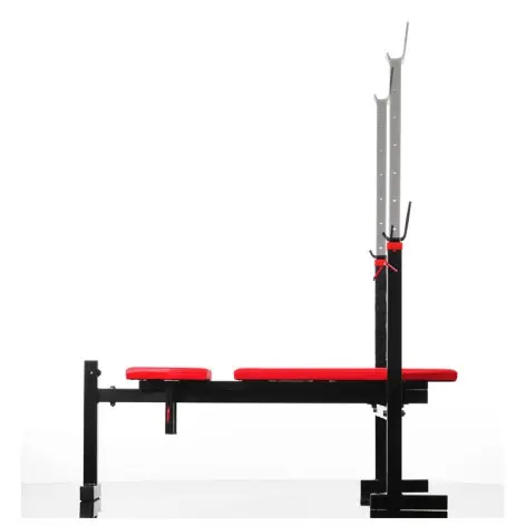 Banc de musculation homegym réglable 12 positions charge de 500 kg - vue 2