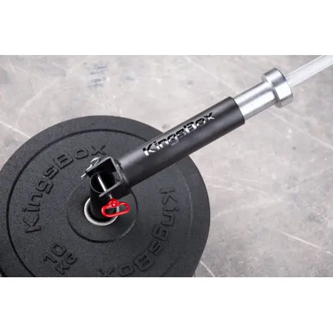 Landmine de diamètre 50 mm - vue 2