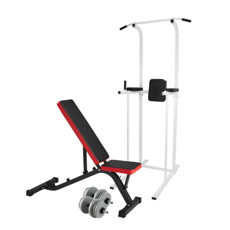 Banc de musculation réglable et chaise romaine avec paire d'haltères pour homegym