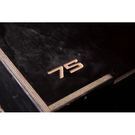 Plyobox en bois pour entraînement de crosstraining - vue 2