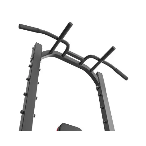 Tour de puissance avec barre de traction et poste à dips multi prises