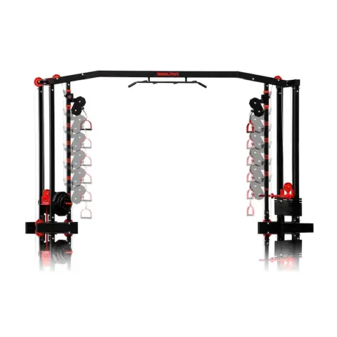 Machine poulie vis à vis charge guidée et libre 250 kg - vue 2