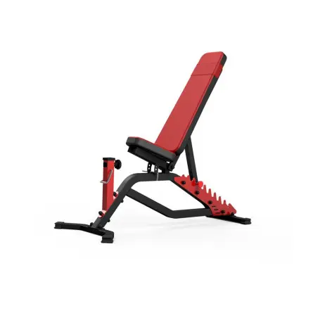 Banc de musculation semi pro avec pupitre à biceps et kit haltères 20 kg - vue 2