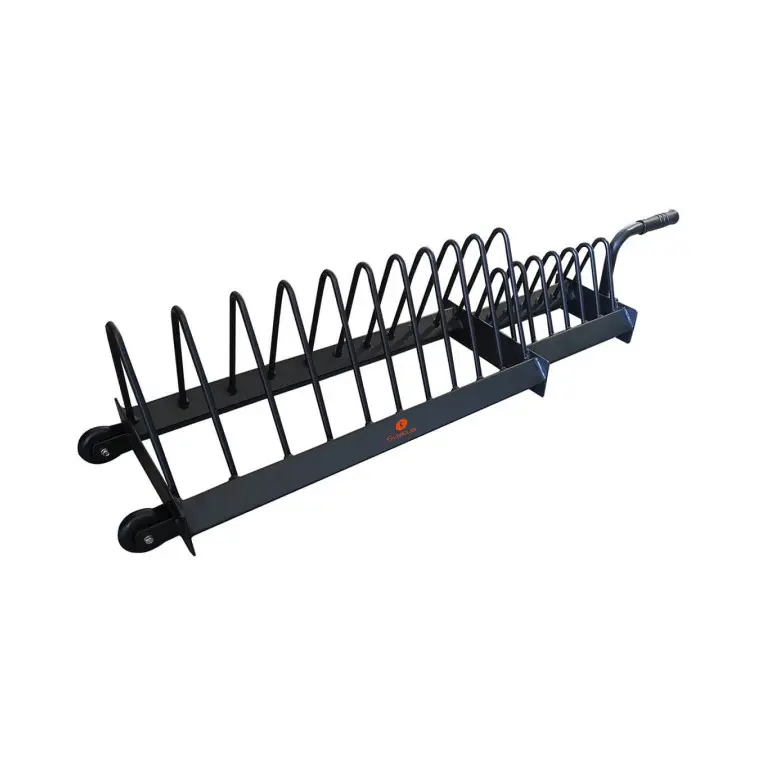 Rack de rangement roulant pour disques de musculation