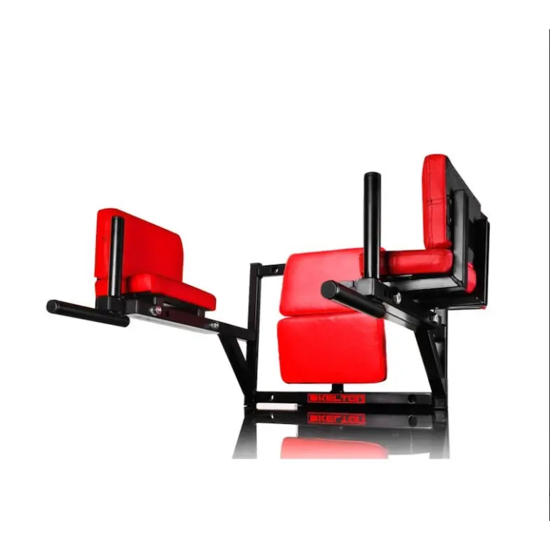 Station à dips multifonctions à fixation murale 250 kg