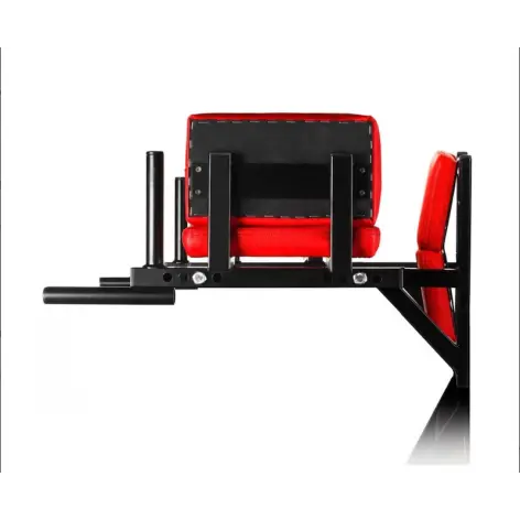 Station à dips multifonctions à fixation murale 250 kg - vue 4