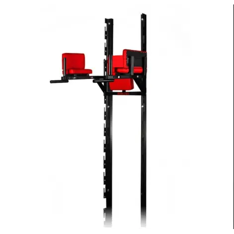 Station à dips multifonctions à fixation murale 250 kg - vue 3