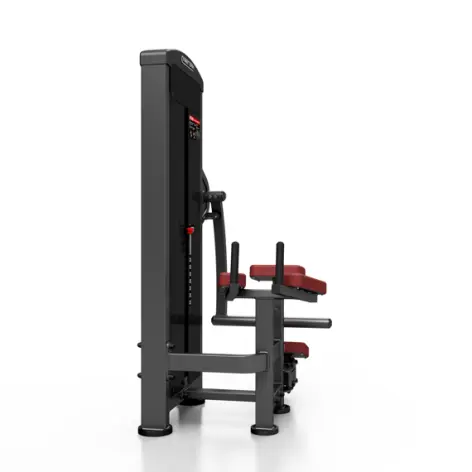 Station pro renforcement complet des fessiers avec colonne de poids 120 kg - vue 2