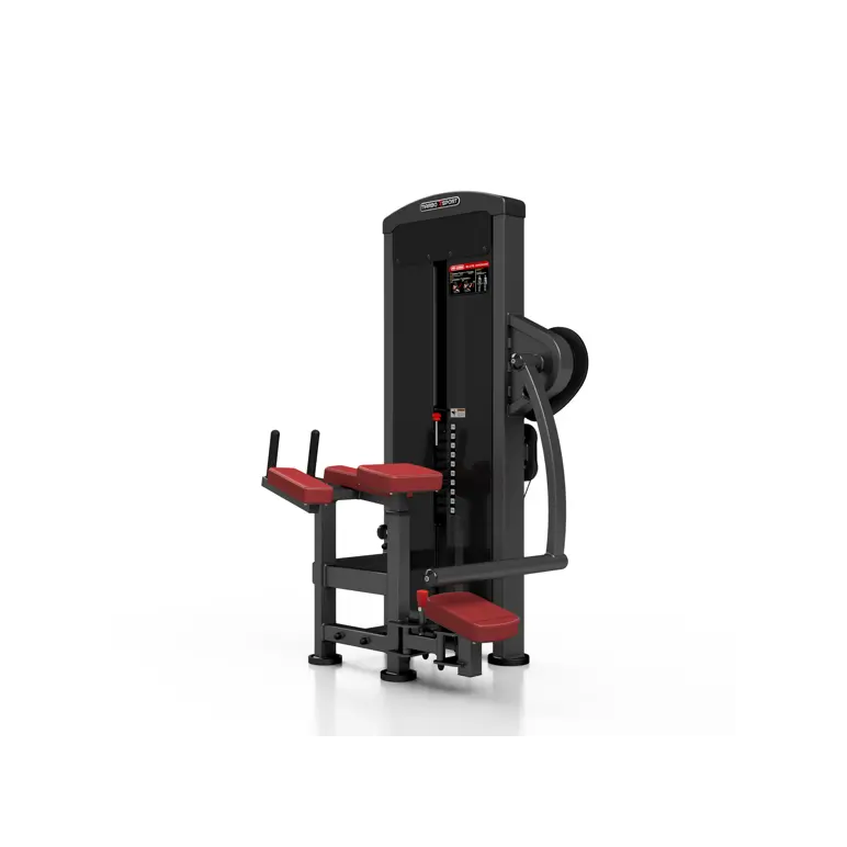 Station pro renforcement complet des fessiers avec colonne de poids 120 kg