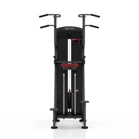 Station professionnelle Traction et Dips assistés avec colonne de poids 100 kg - vue 2